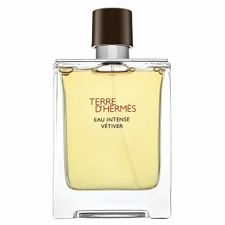 Hermes Terre D'Hermes Eau Intense Vetiver parfémovaná voda pro muže 100 ml